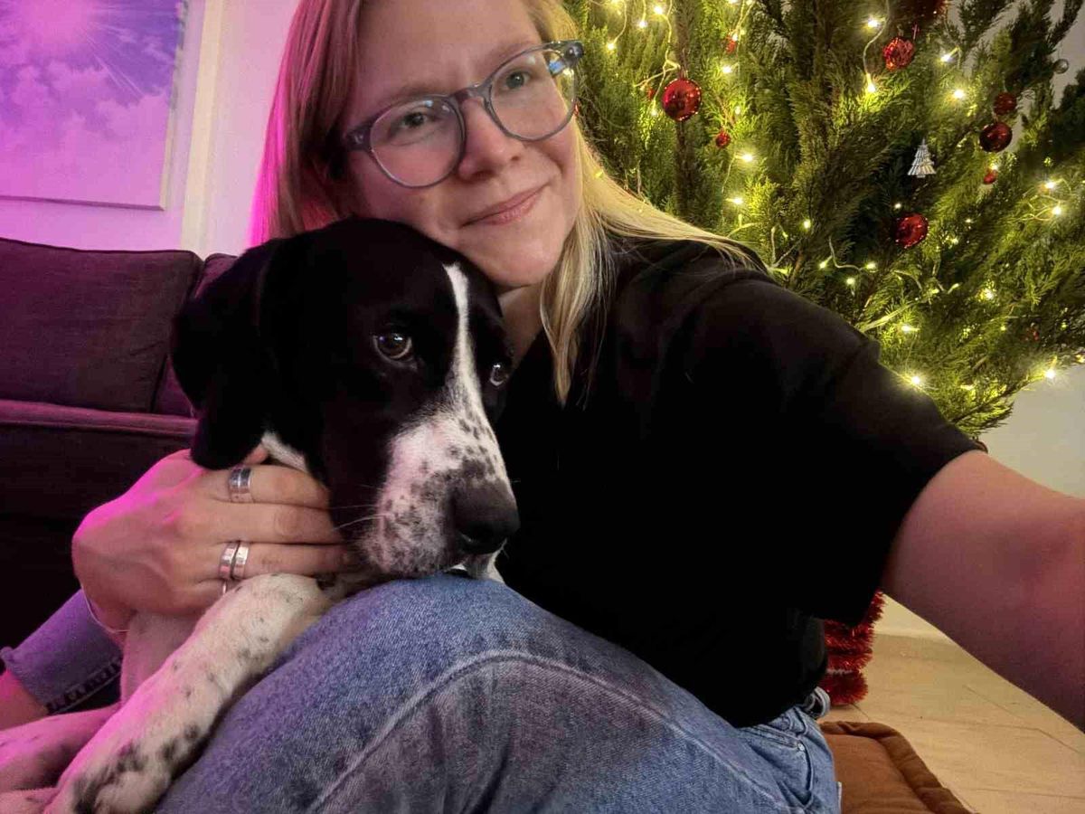 Rus kadın 4 ay önce kaybolan köpeğini 4 ilçede arıyor, binlerce afiş bastırıp her yere asıyor