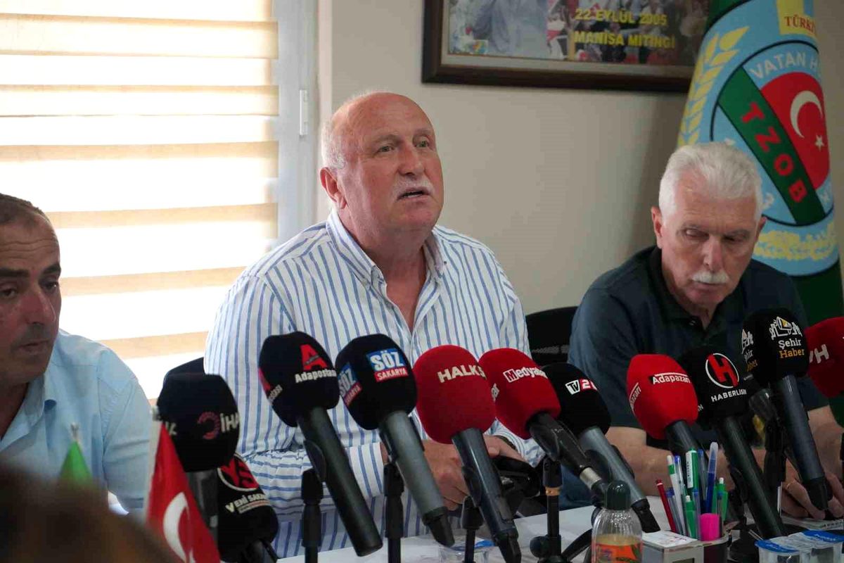 Sakarya'da fındık işçilerinin 2026 yılı yevmiyesi belli oldu