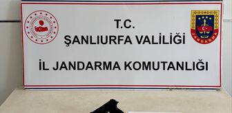 Şanlıurfa'da uyuşturucu operasyonunda 2 şüpheli yakalandı