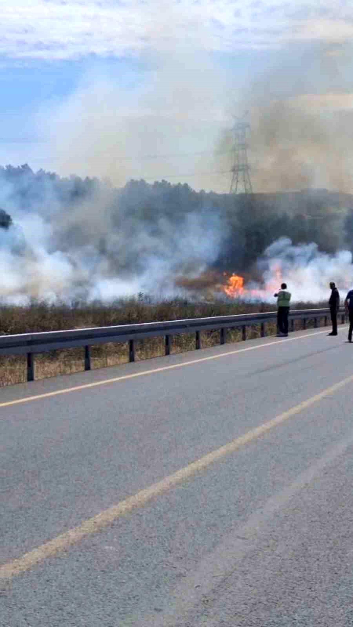 Sultangazi'de otluk alandan ormana sıçrayan yangın söndürüldü