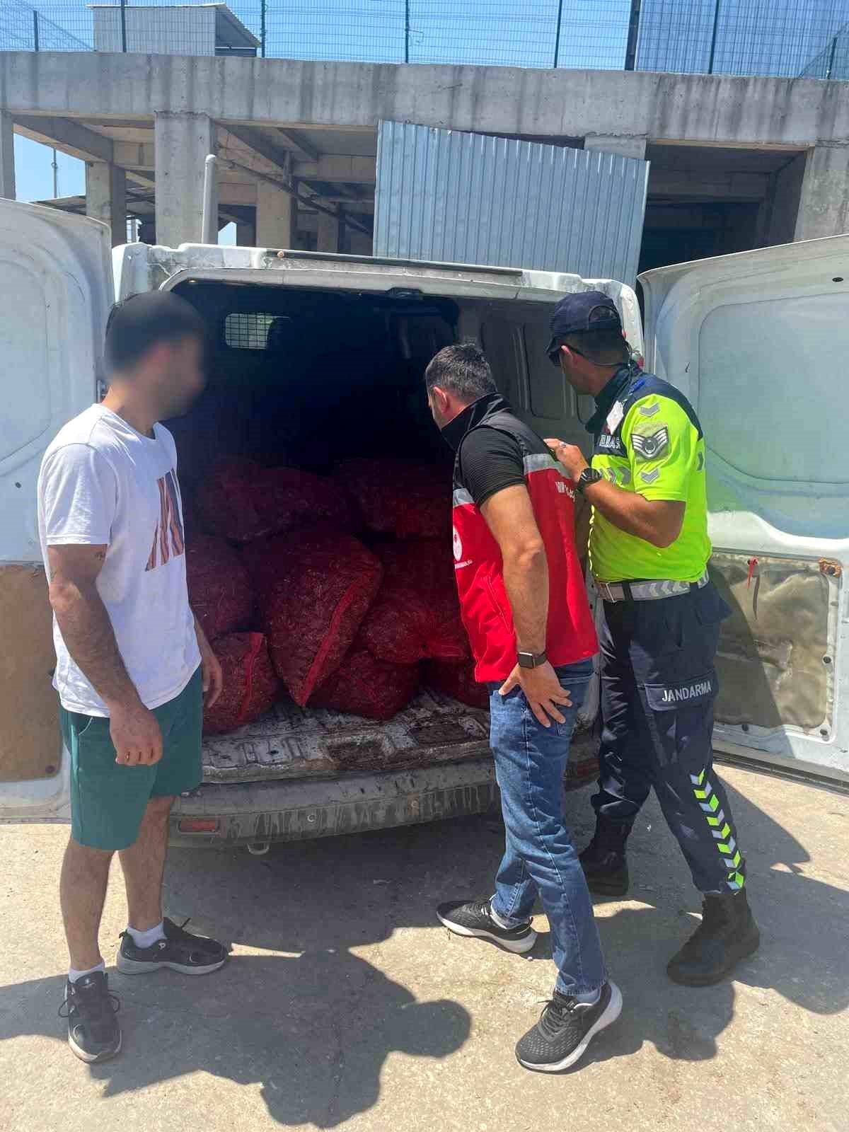 Tekirdağ'da 700 kilogram kaçak midye ele geçirildi