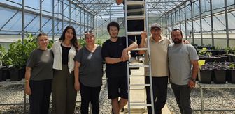 Trüf mantarı aşılı fidan üretim serası aşırı sıcaklardan dronla uygulanan jelle korunuyor