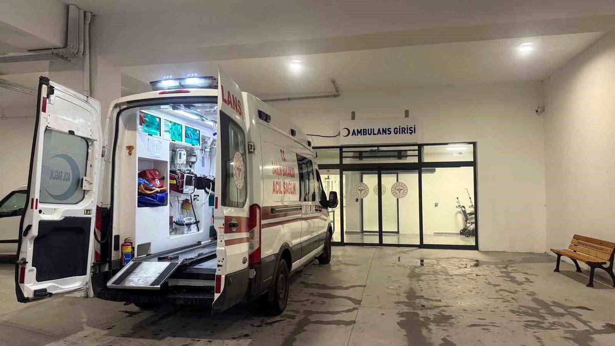 Zonguldak Alaplı'da yılan saldırısı sonucu ayağından ısırılan vatandaş hastaneye kaldırıldı.
