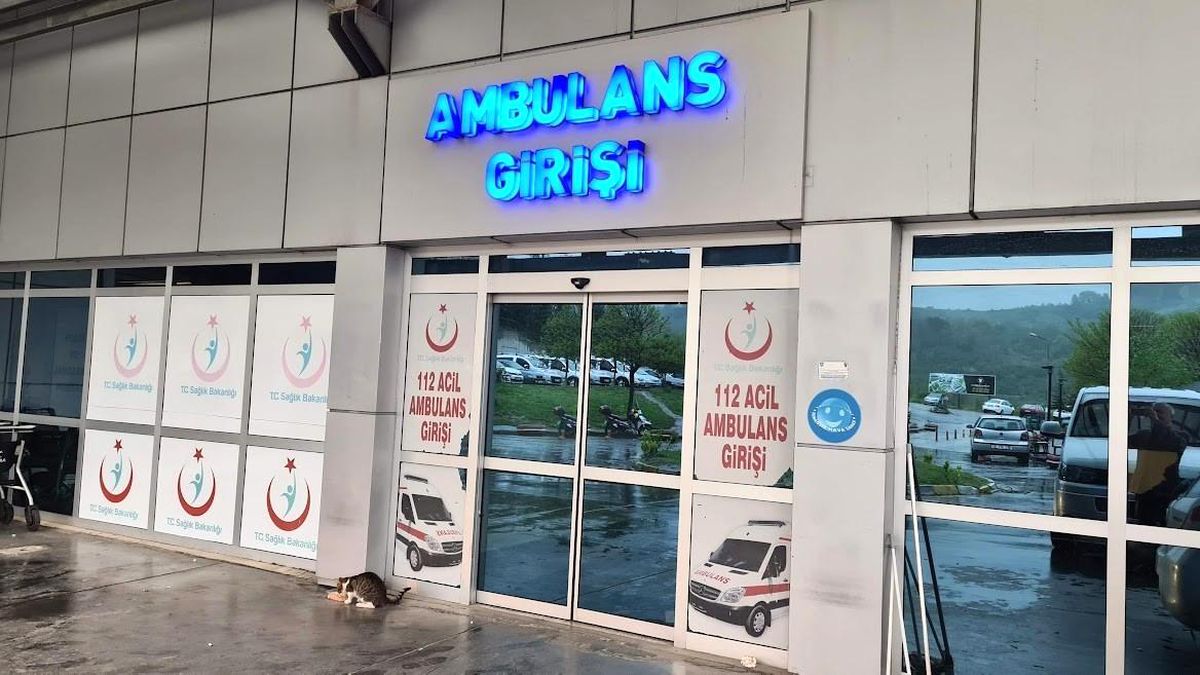 Alaplı'da 'pat-pat' kazası: 2 yaralı