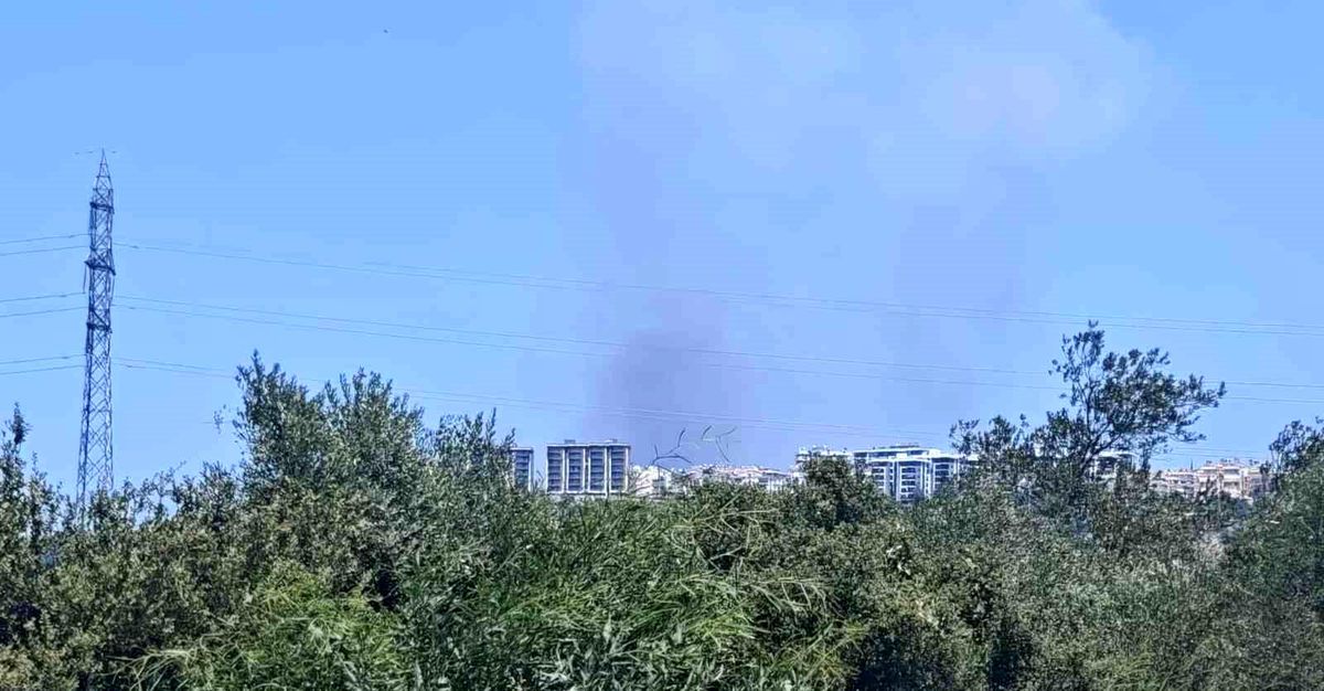 Antalya'da ormanlık alanda yangın