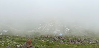 Ardahan ve Artvin'in yüksek kesimlerinde sis etkili oldu