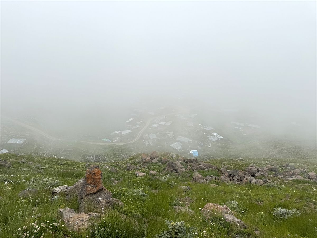 Ardahan ve Artvin'in yüksek kesimlerinde etkili olan yoğun sisin oluşturduğu kartpostallık manzara.