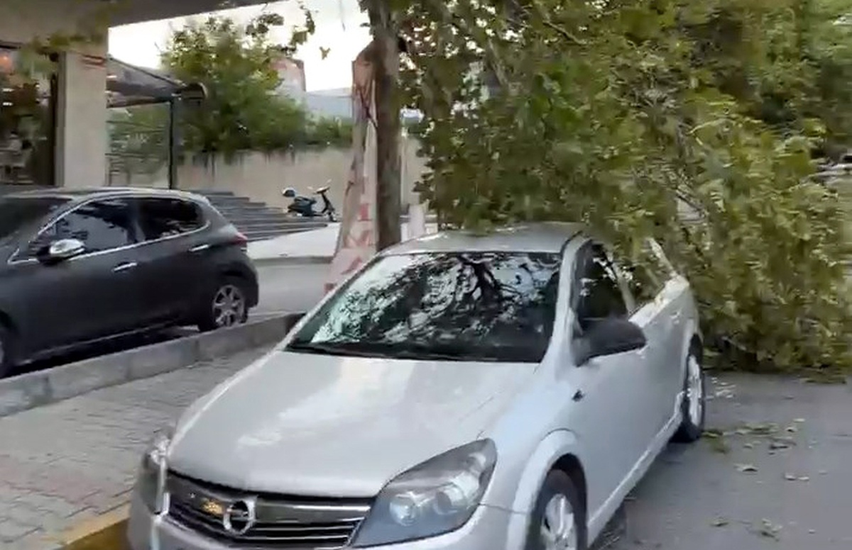 Avcılar'da fırtına nedeniyle ağaçlar devrildi, çatılardan parçalar uçtu