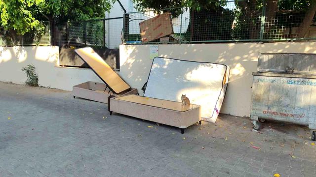 bahce atiklari ve molozlar marmaris i copluge 3 20075663 o