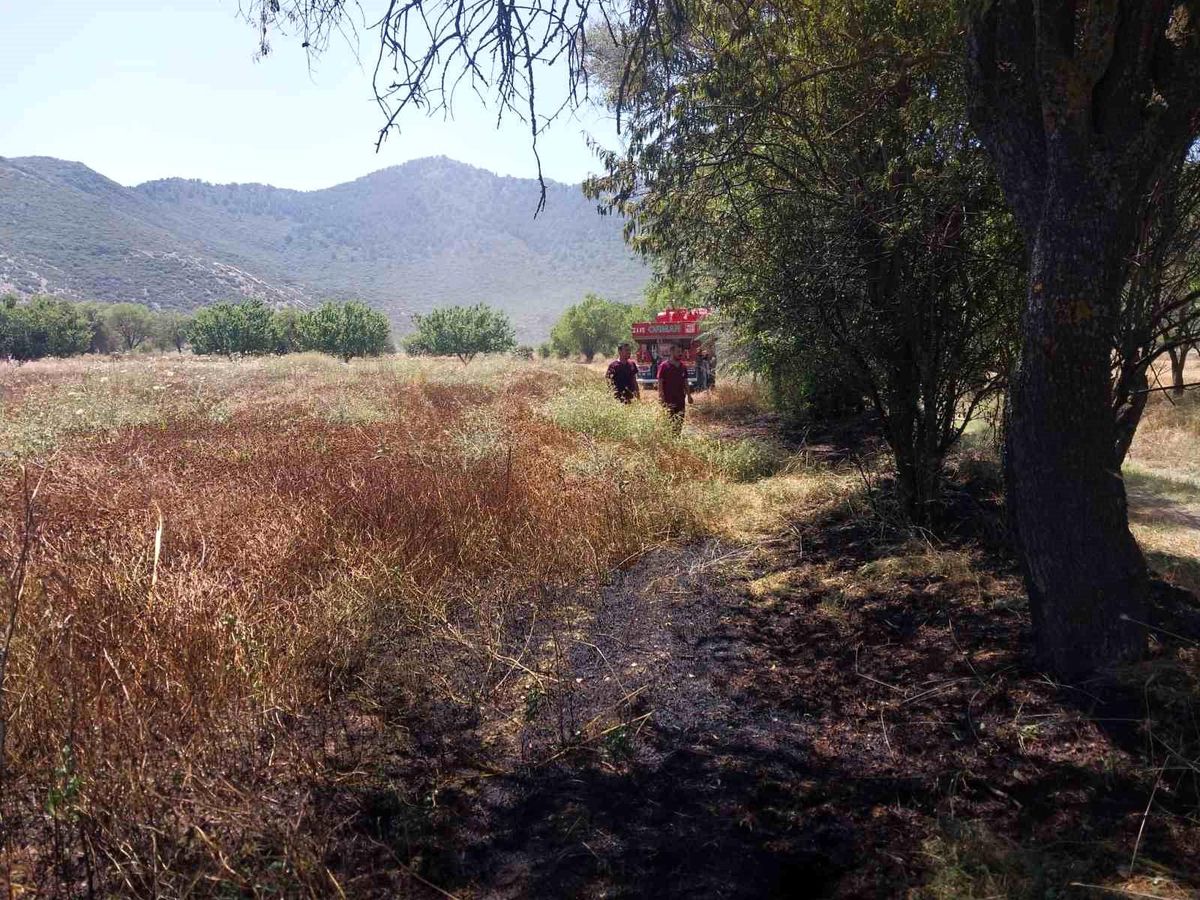 Burdur'un Bucak ilçesinde çıkan anız yangınına müdahale eden itfaiye ekipleri.