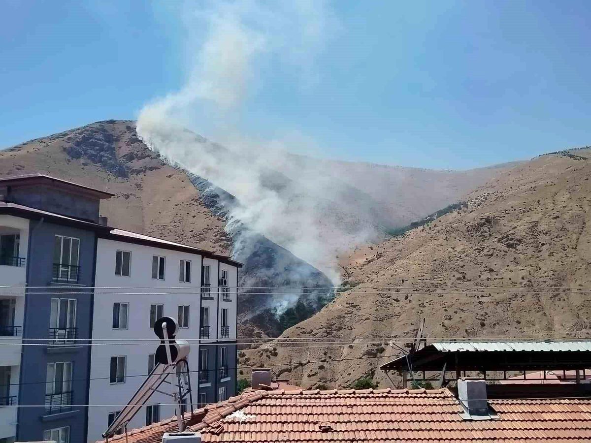 Elazığ'ın Keban ilçesindeki Nimri Dağı'nda çıkan orman yangınına ekipler müdahale ediyor.