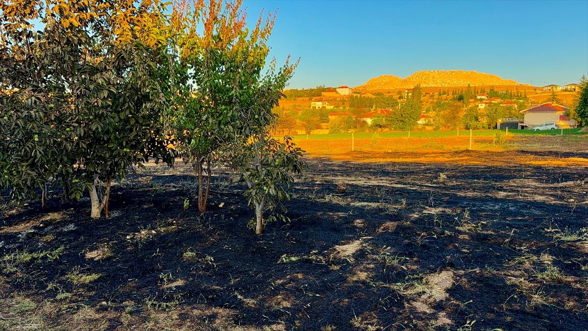 Emirdağ'da çıkan ot yangını söndürüldü