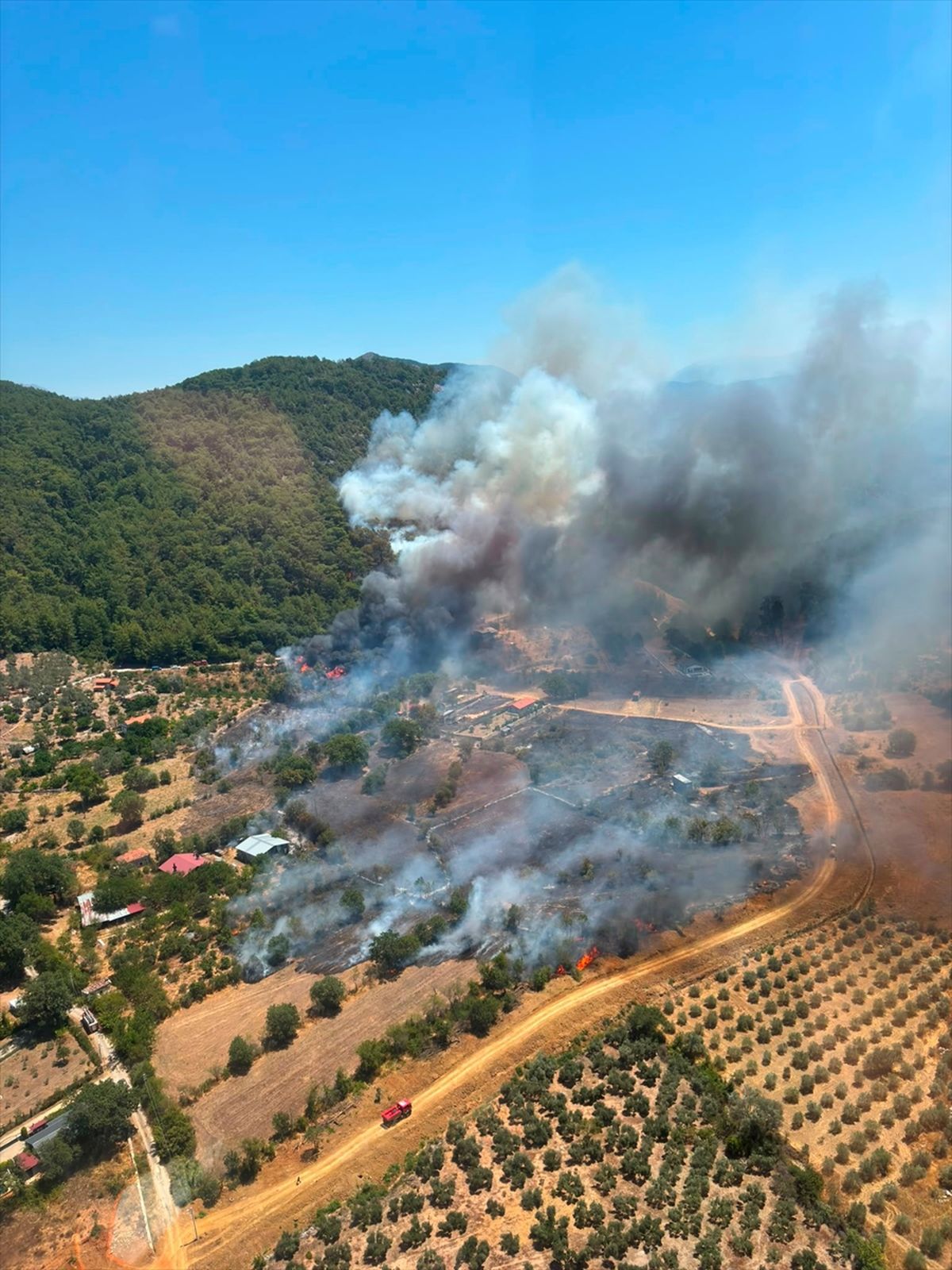 Fethiye'de çıkan orman yangınına havadan ve karadan müdahale ediliyor