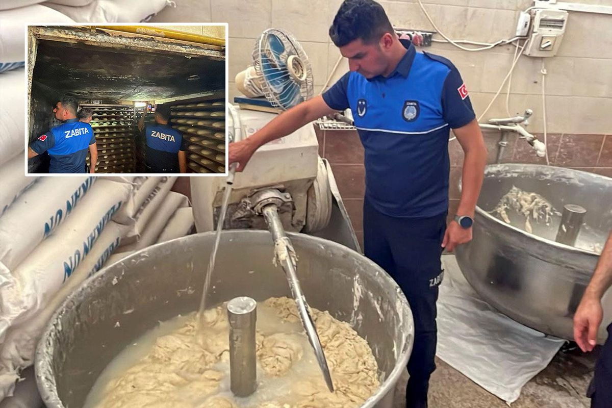 Tarsus'ta bir fırında denetim sırasında haşere tespit edilen hamurlar.