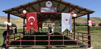 Hakkari'de kadın üreticiler için 'gölgelik süt sağım alanı' açıldı