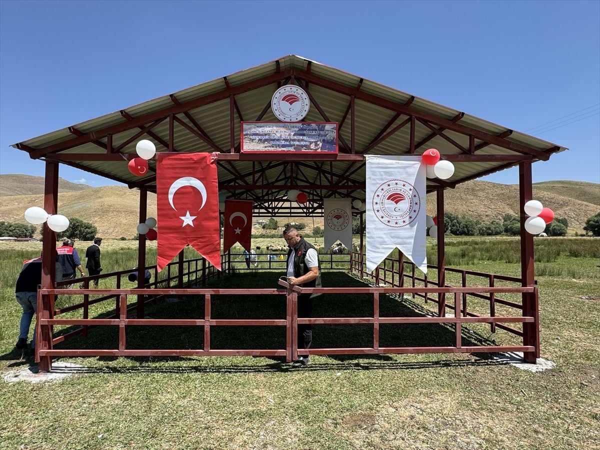 Hakkari'de kadın üreticiler için 'gölgelik süt sağım alanı' açıldı