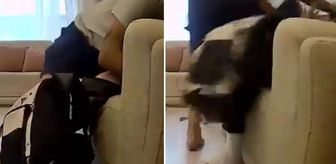 Her anı kayıtta: Bu utanç verici görüntü maalesef Türkiye'nin başkentinden
