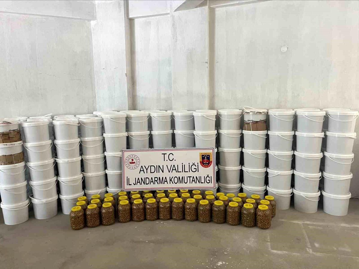 Köşk'te 3 milyon liralık sahte gıda operasyonu: '4 ton salça ve 300 kilo zeytin ele geçirildi'
