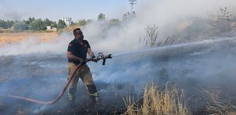 Kütahya'da tarım arazisinde çıkan yangın söndürüldü
