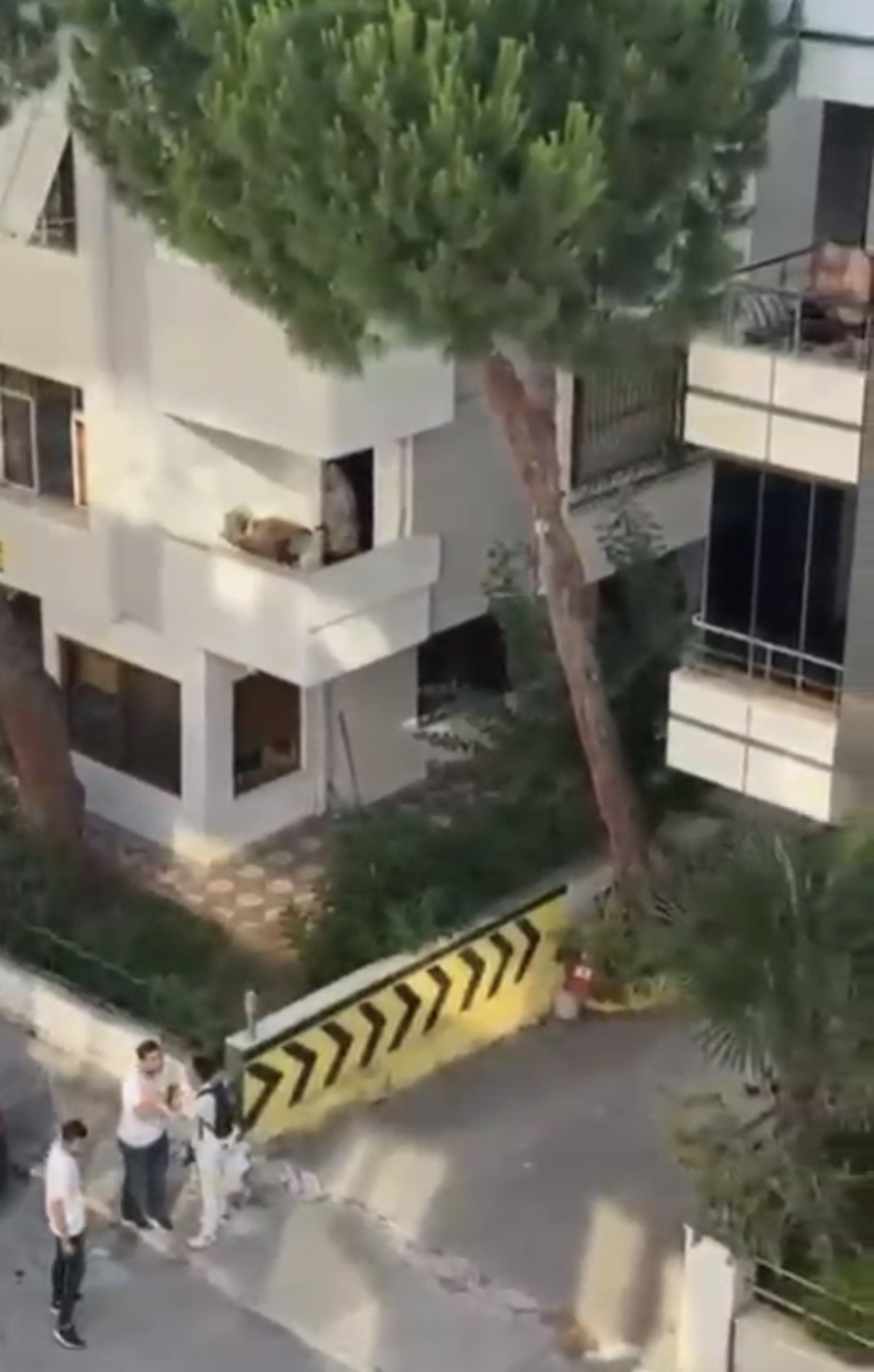 Maltepe'de kadına şiddet iddiasını duyan mahalleli balkona çıkan kişiye taş attı