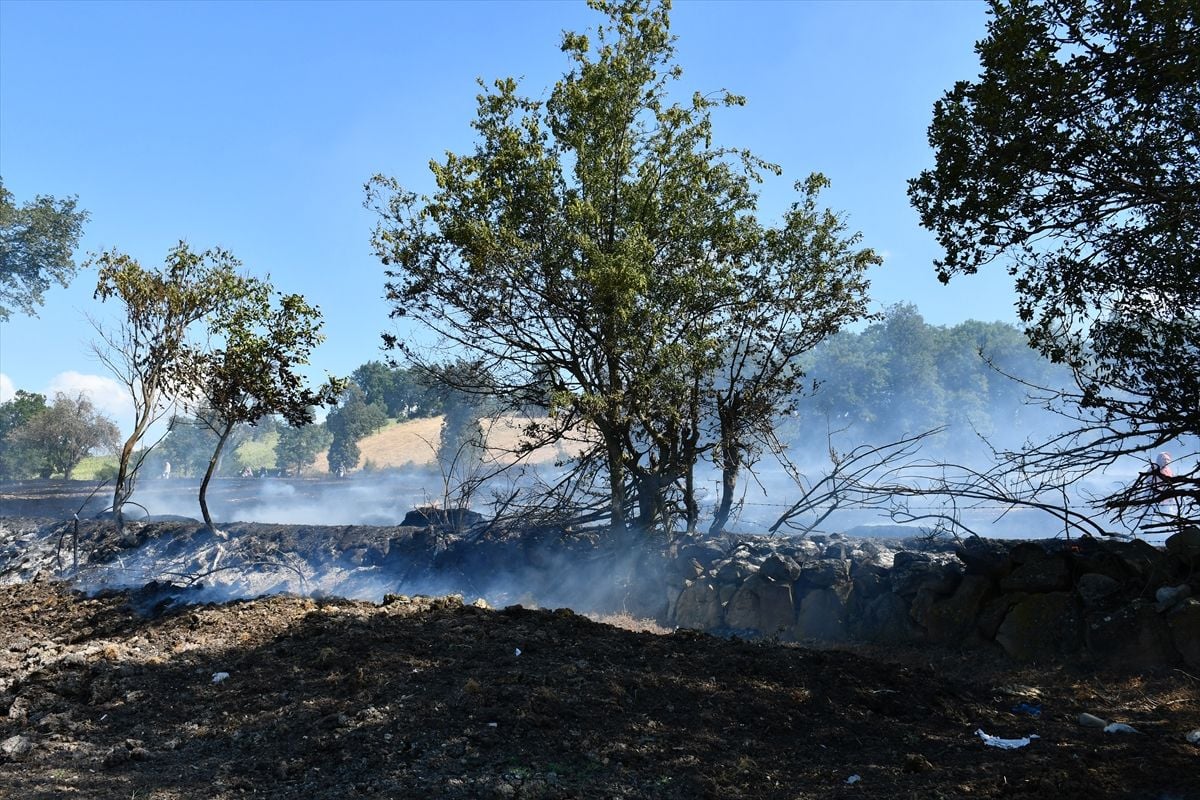Samsun'da yaklaşık 300 dönüm buğday ekili arazi yangında zarar gördü