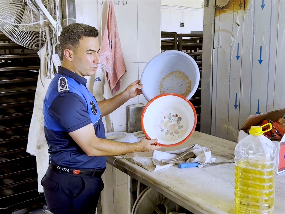 Tarsus ilçesinde yapılan denetimde haşere görülen 3 fırına ceza uygulandı