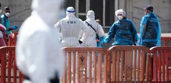 Venezuela, hantavirüsten 3 kişinin hayatını kaybettiğini doğruladı