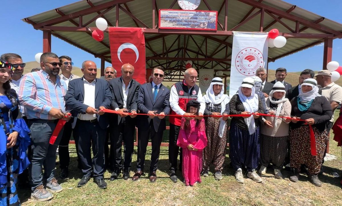 Yüksekova'da berivanlar gölgeliğe kavuştu