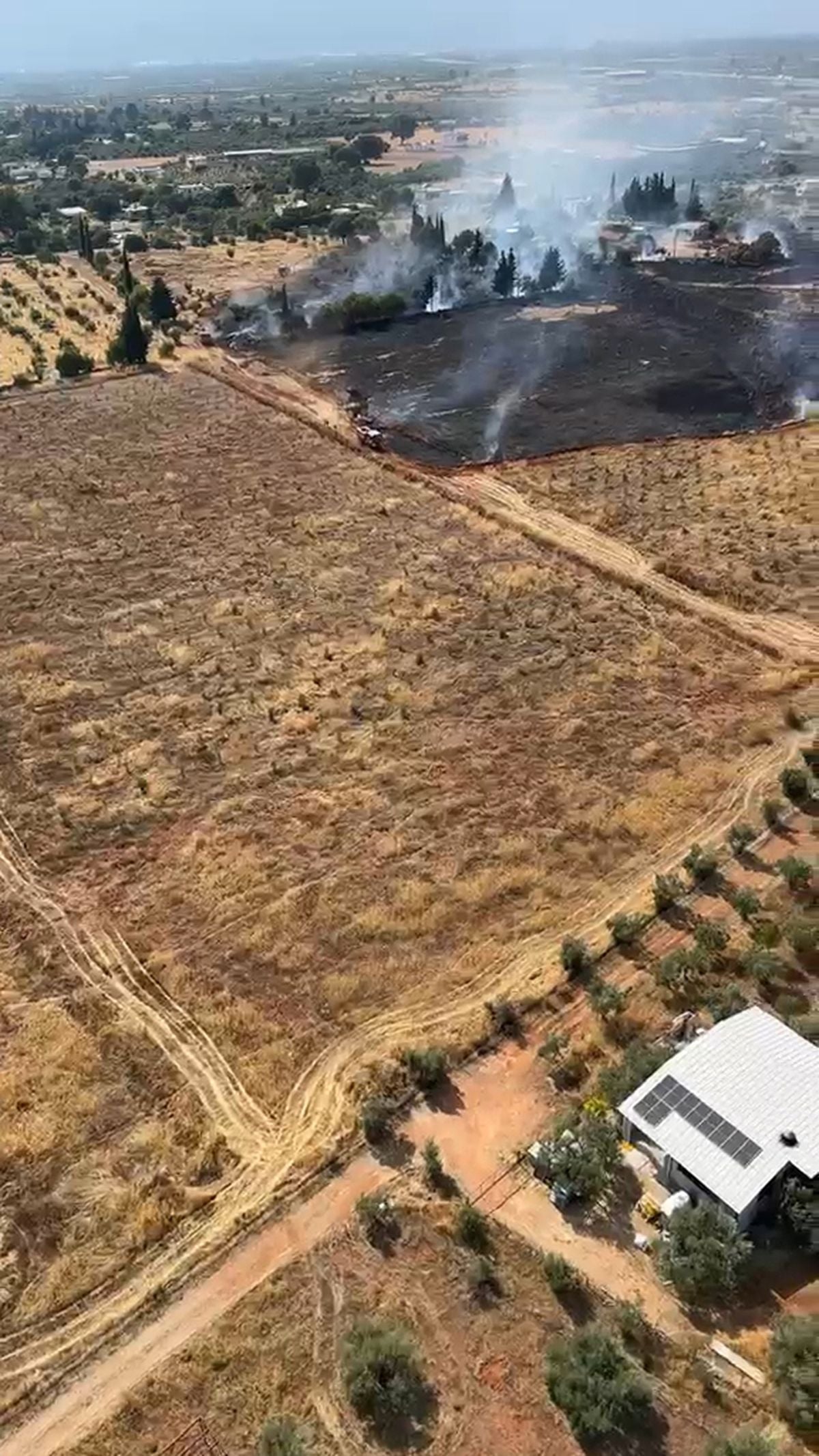 Antalya Kepez'de zeytinlik alanda çıkan yangına müdahale eden ekipler.