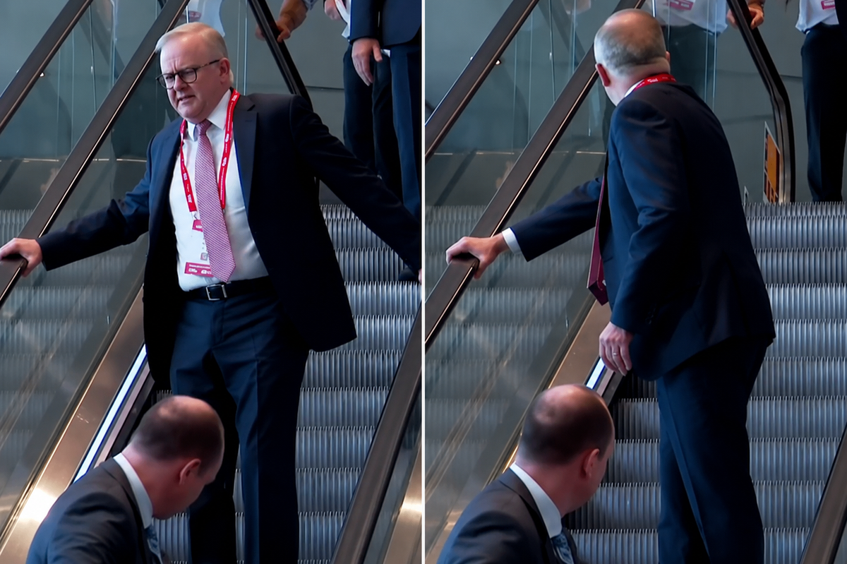 Avustralya Başbakanı Anthony Albanese'in yürüyen merdivende dengesini kaybettiği an.
