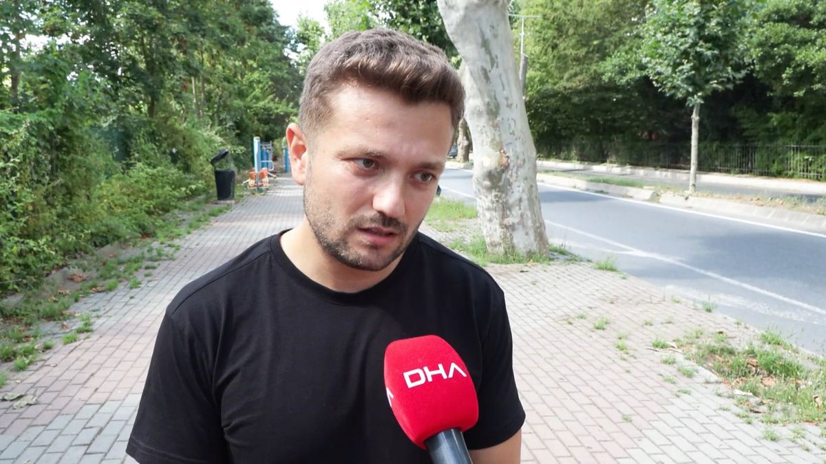 Çınar Kanseri Tehdidi: Beşiktaş'taki Tarihi Ağaçlar İçin Budama ve Uyarılar