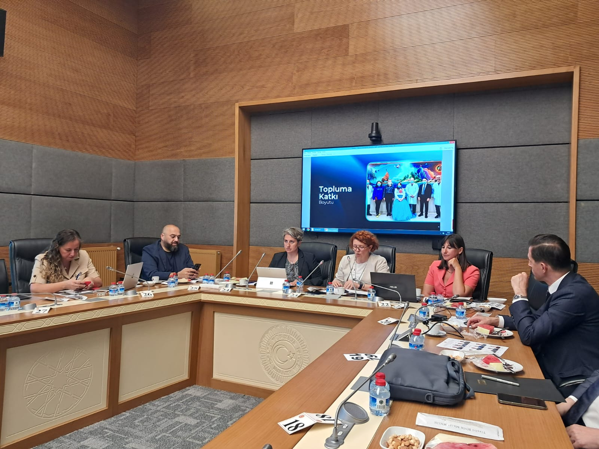 Disney, hbo ve netflix temsilcileri tbmm'de çocuk profili, pın ve yaş sınırlaması uygulamalarını anlattı: 'hepimizin elini taşın altına koyması gerekiyor'
