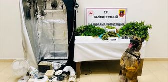 Gaziantep'te uyuşturucu ticaretine yönelik operasyonunda yakalanan 14 şüpheli tutuklandı