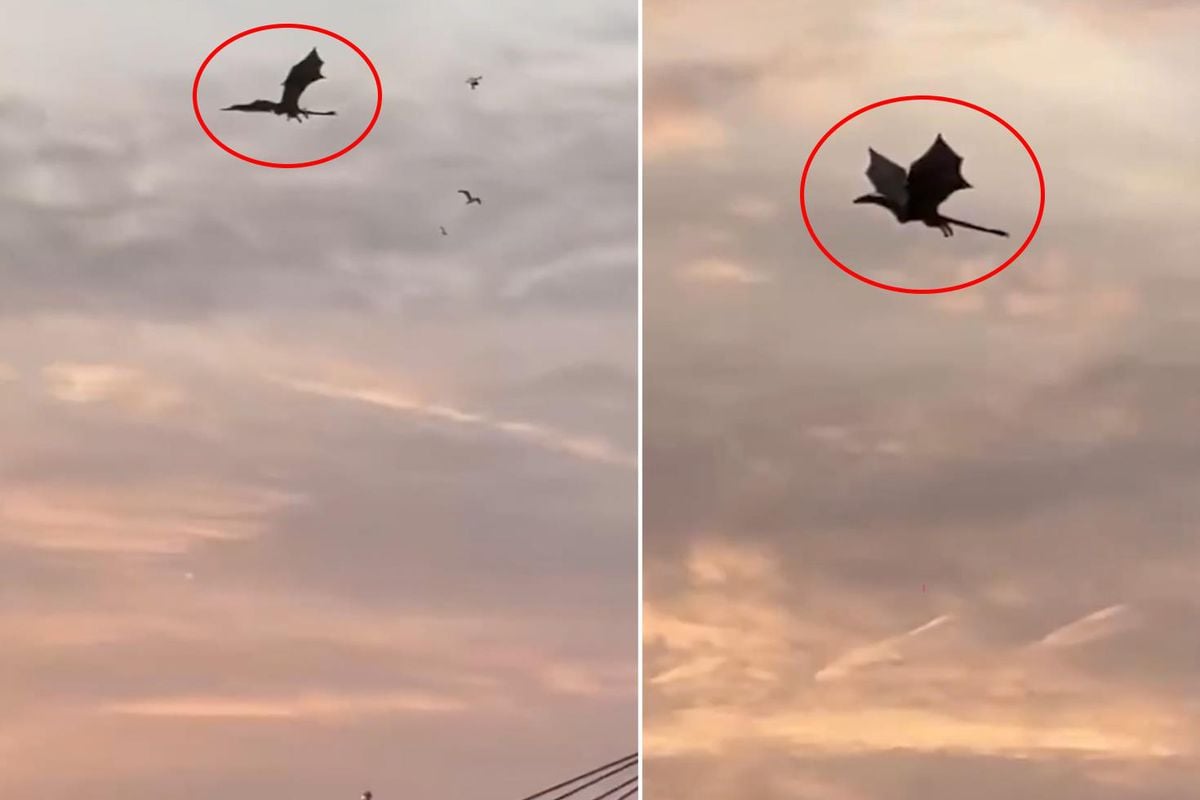 Gökyüzünde beliren dev ejderha paniğe neden oldu! Gerçek sonradan ortaya çıktı