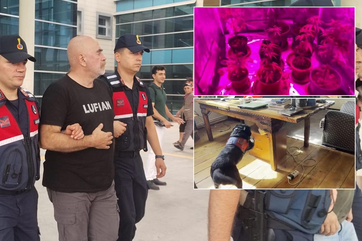 Gözaltındaki ünlü yönetmen Ezel Akay hakkında karar