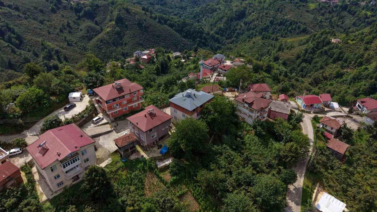 Ordu'nun Perşembe ilçesindeki Yazlık Mahallesi'nde yaşayanların tamamının soyadı Sarı.