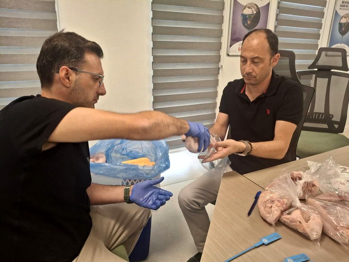 Manisa'da tavuk ürünlerinden numune alınması ve analiz edilmesi.