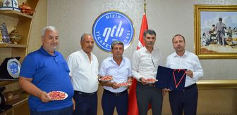 Nizip'te yılın ilk erkenci Antep fıstığını getiren üretici yarım altınla ödüllendirildi