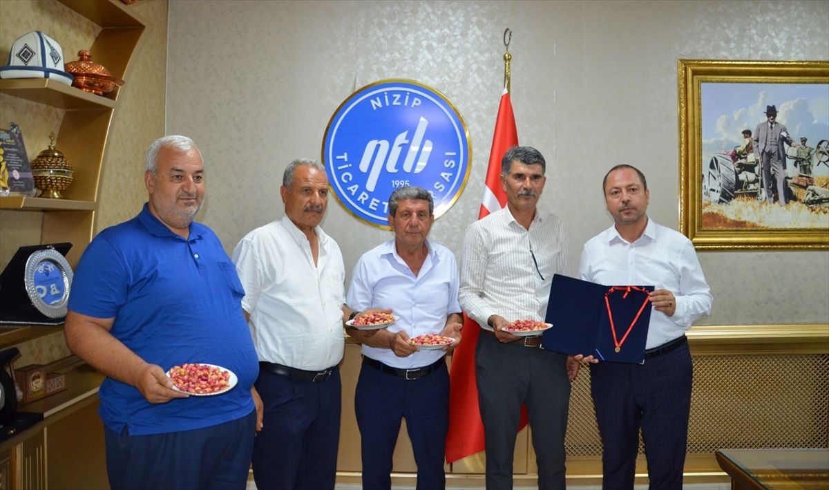 Nizip'te yılın ilk erkenci Antep fıstığını getiren üretici yarım altınla ödüllendirildi
