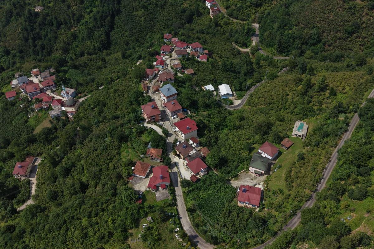 Ordu'da herkesin soyadı Sarı olan mahalle