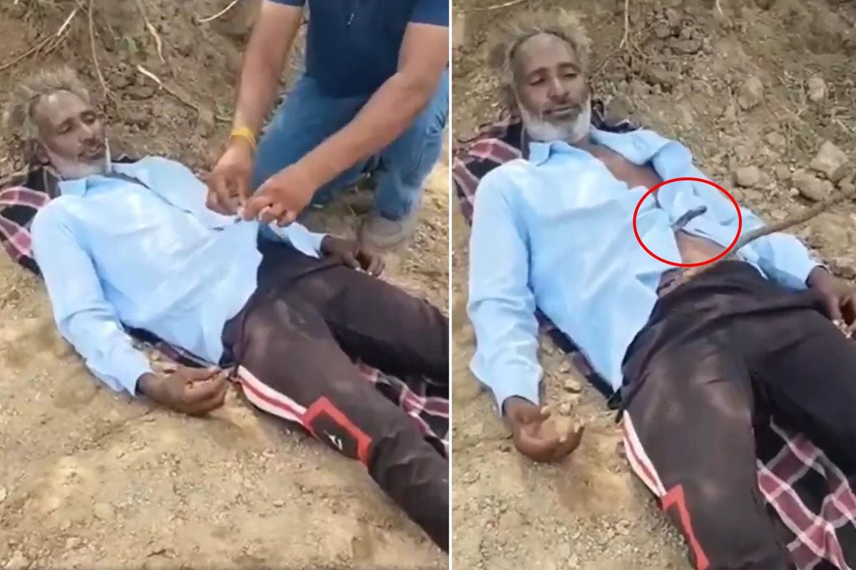 Tarlada uyuyan çiftçinin gömleğine kobra girdi! Arkadaşları zamanla yarıştı