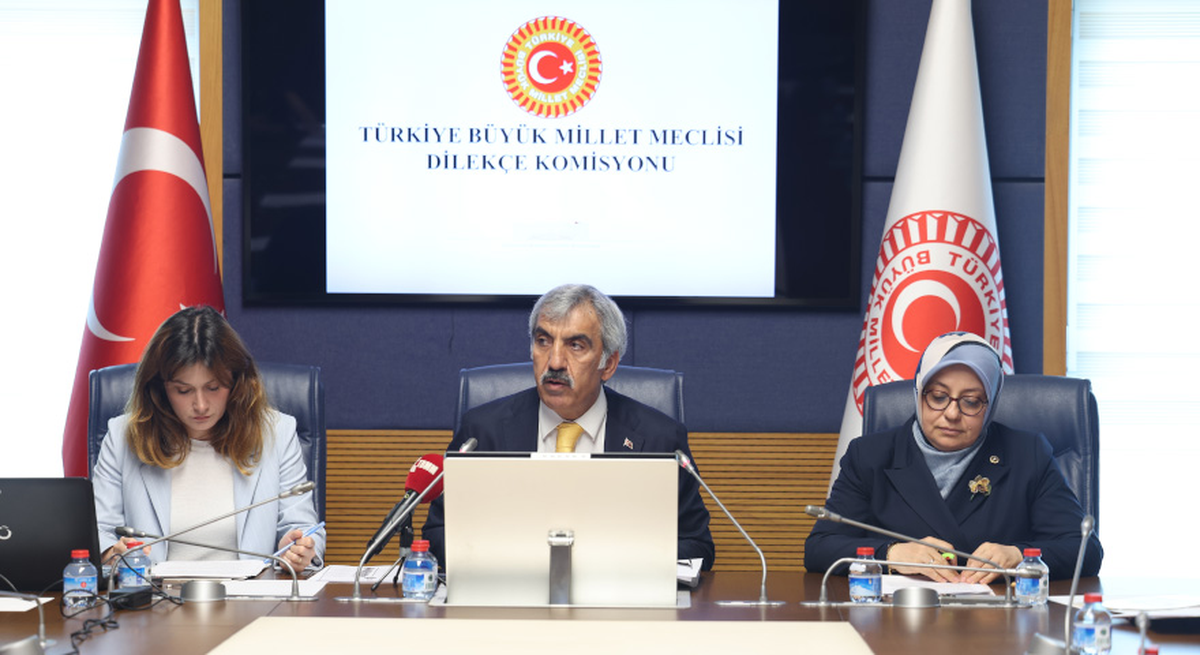 TBMM Dilekçe Komisyonu'nun Akran Zorbalığı Alt Komisyonu Raporu'nu kabul etmesini gösteren temsili bir görsel.