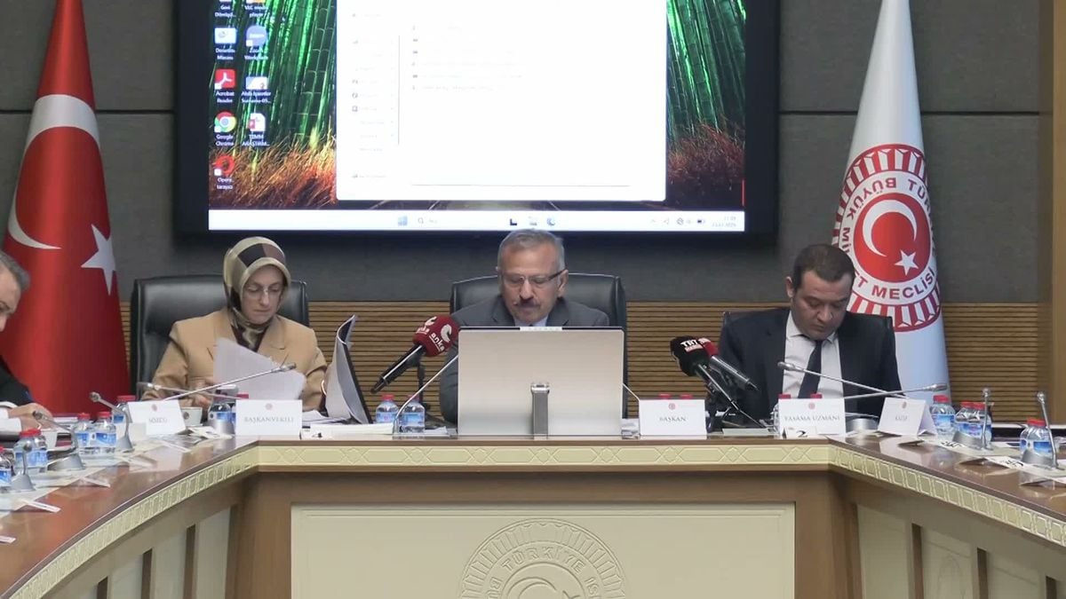 RTÜK Başkanı Mehmet Daniş'in TBMM'deki komisyonda konuşmasından bir kare.