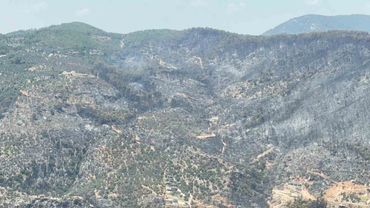Fethiye'de kontrol altına alınan orman yangını sonrası küle dönen yeşil alanın havadan görünümü.