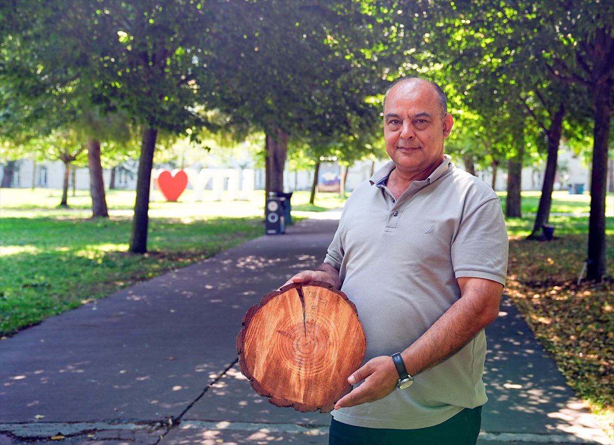 Ağaç halkaları: Doğanın iklim arşivi