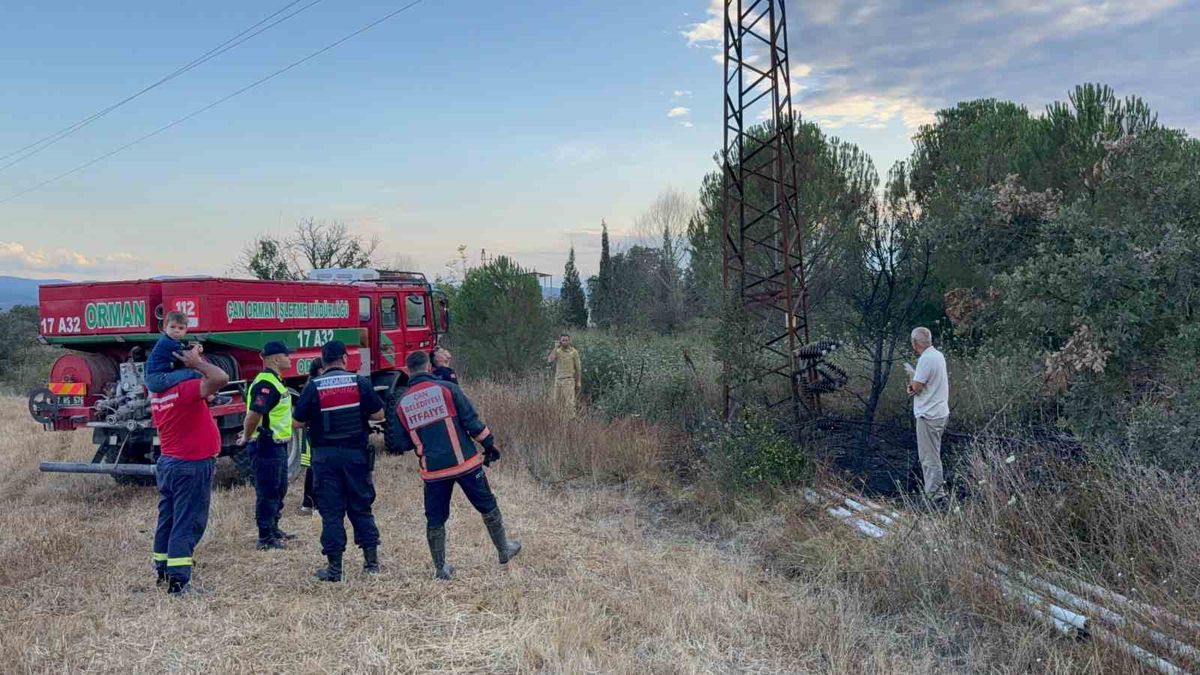 Çan'da ormana sıçramadan söndürülen yangın