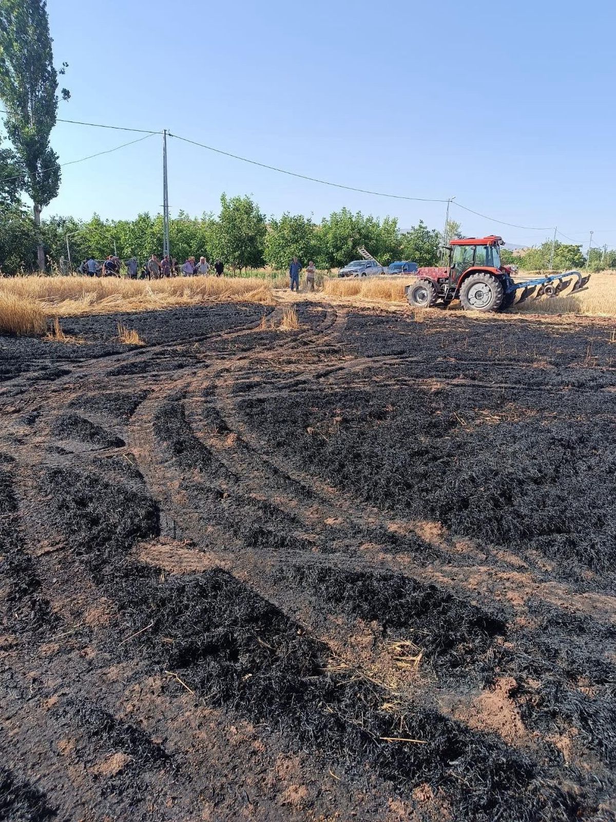 Elazığ'da Ekili Tarlada Yangın Panik Yarattı