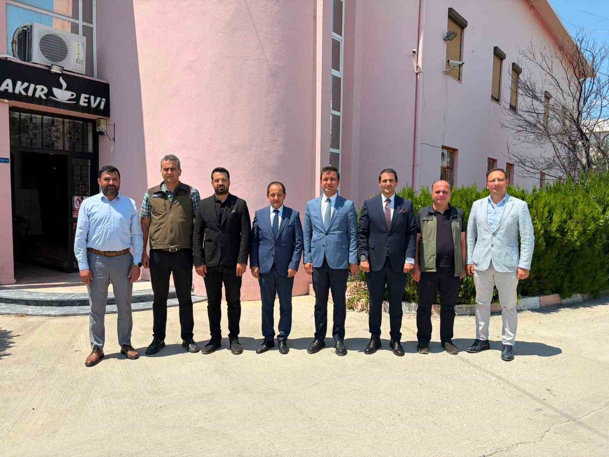 Erzincan'da tarım arazileri ve hasat hazırlıkları