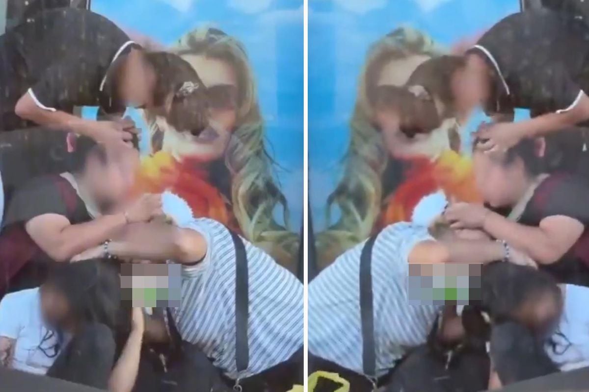 Kimseye aldırmadan saçlarındaki bitleri ayıkladılar