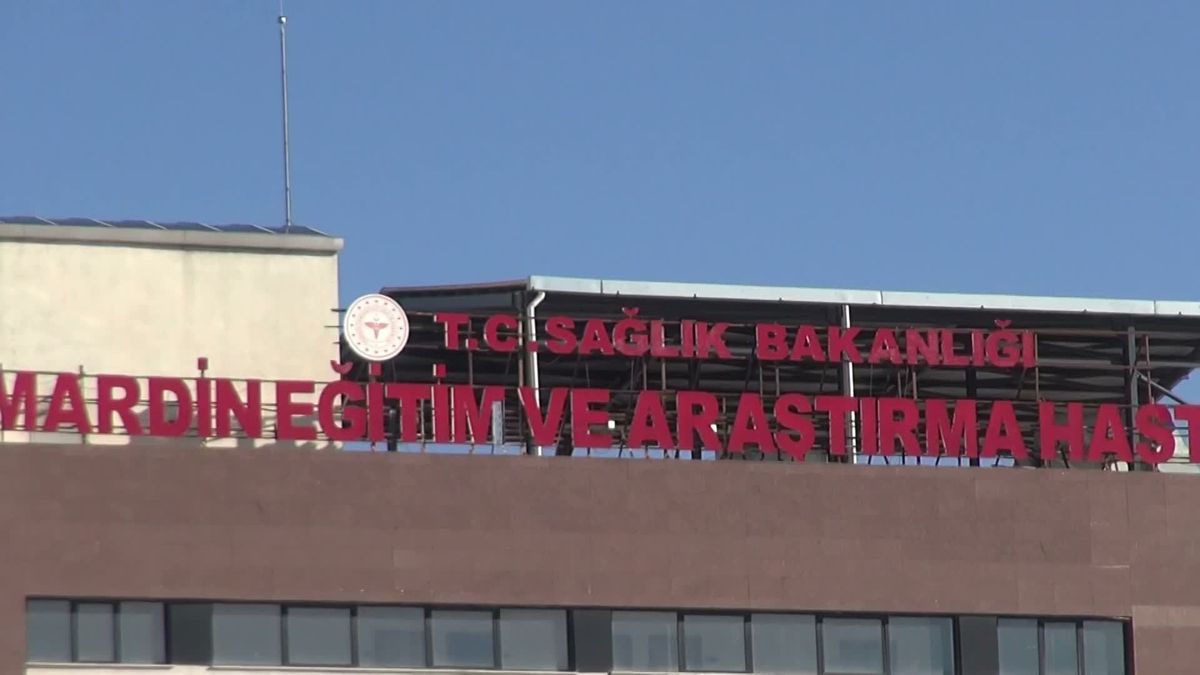 Mazıdağı'nda kaza: Araç nöbet kulesine çarptı, 1 ölü